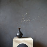 Dried Corokia Bunch