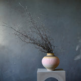 Dried Corokia Bunch