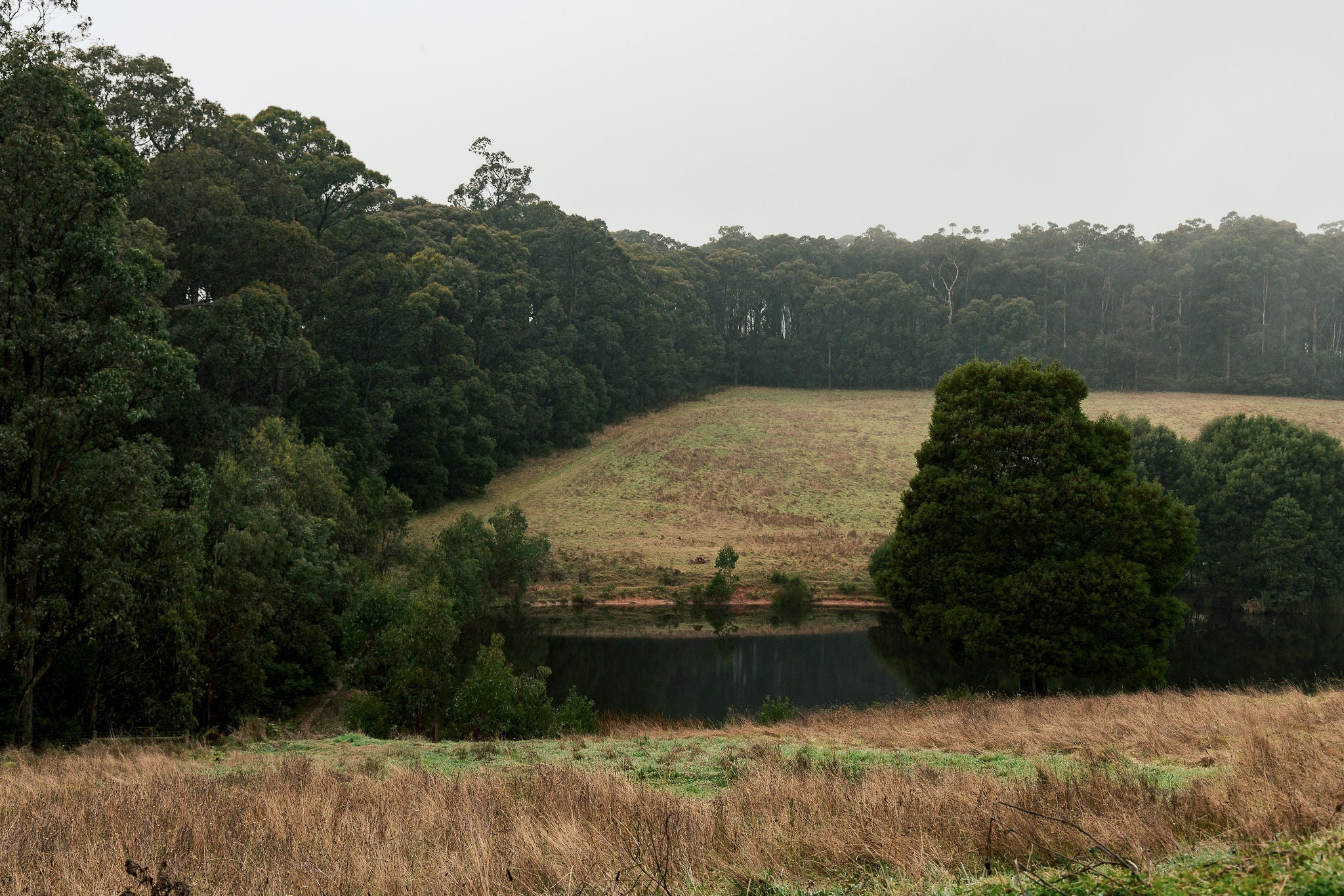 GREENFLEET PLANTING DAY – BOTANY