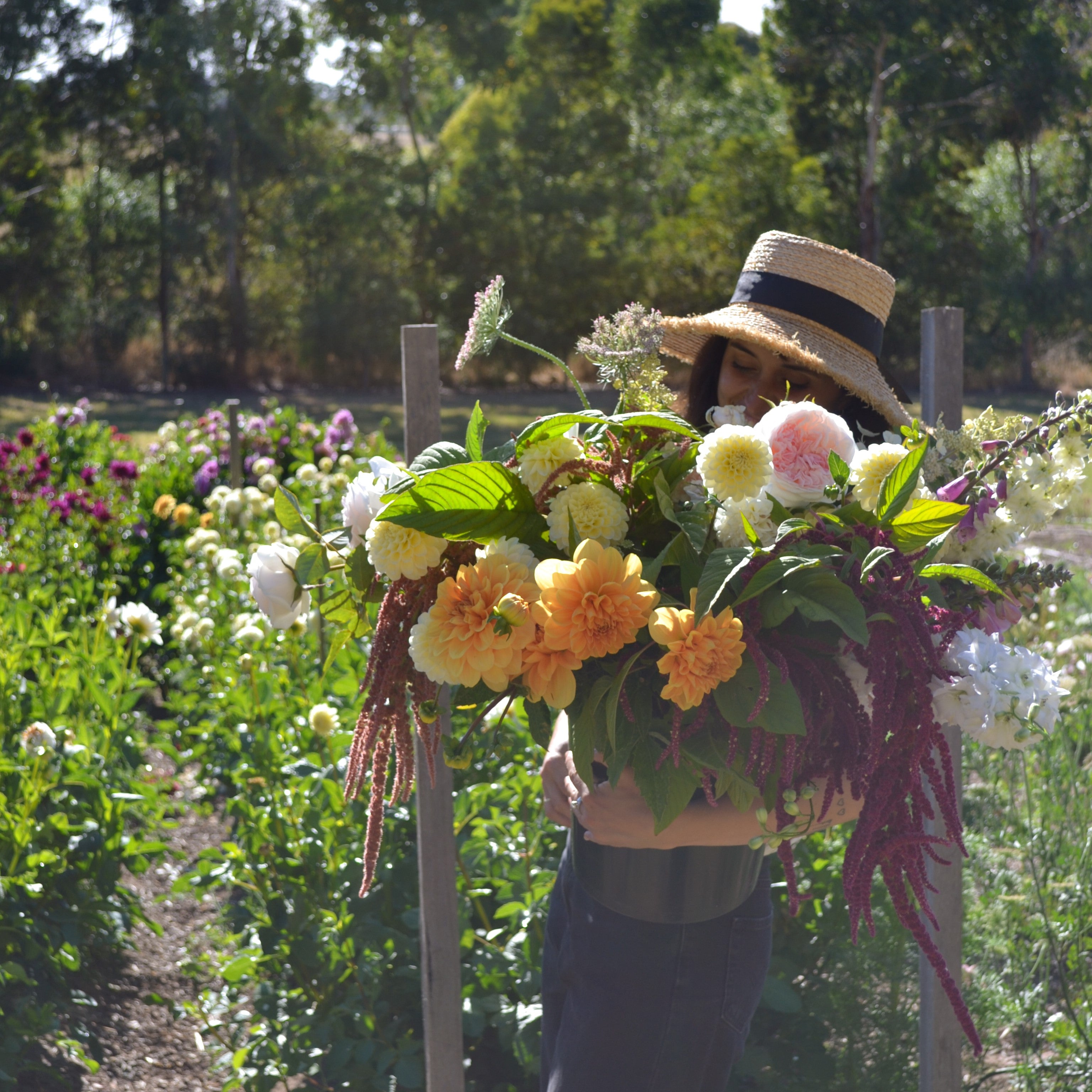 Lunar & Cosmic Farming - Alchemilla Flower Farm