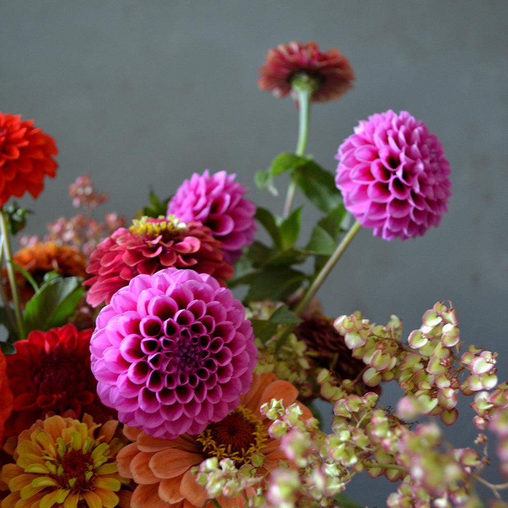 Sustainable Floristry: The Vital Need For Locally Grown Flowers