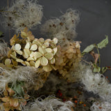 Dried Botanical Sculpture #1