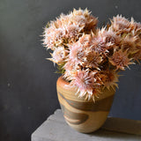 Dried Blushing Bride
