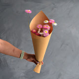 Dried Wild Paper Daisies