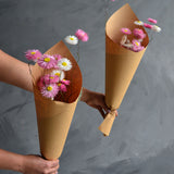 Dried Wild Paper Daisies