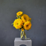 Seasonal Surprise Vase Arrangement