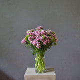 Seasonal Surprise Vase Arrangement