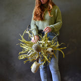 Dried Banksia Speciosa