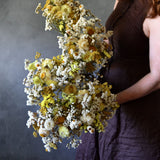 Dried Flower Bouquet - Daisy Posy