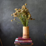 Dried Scabiosa Pods