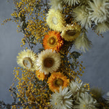 Dried Floral Wreath - Wattle + Daisies
