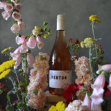 Panton Vineyard Rose