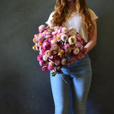 Dried Paper Daisies (pink)