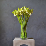 Seasonal Surprise Vase Arrangement