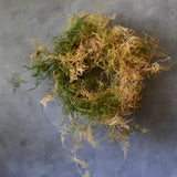 Dried Floral Wreath - Forest Ferns