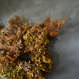 Dried Floral Wreath - Hydrangea + Fern