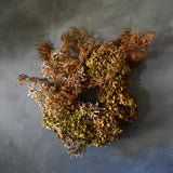 Dried Floral Wreath - Hydrangea + Fern