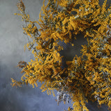 Dried Floral Wreath - Mimosa
