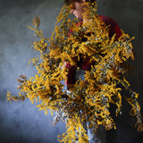 Dried Floral Wreath - Mimosa