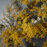 Dried Floral Wreath - Mimosa